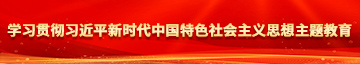 骚逼黄片学习贯彻习近平新时代中国特色社会主义思想主题教育